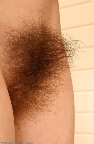 Marcella's thick bush