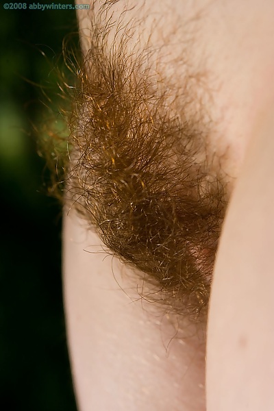 Brenda firm tits and thick hairy bush from Abby Winters - 15/16