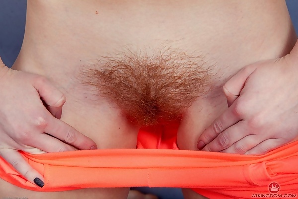 Ogil Basted ginger bush from ATK Hairy - 6/20