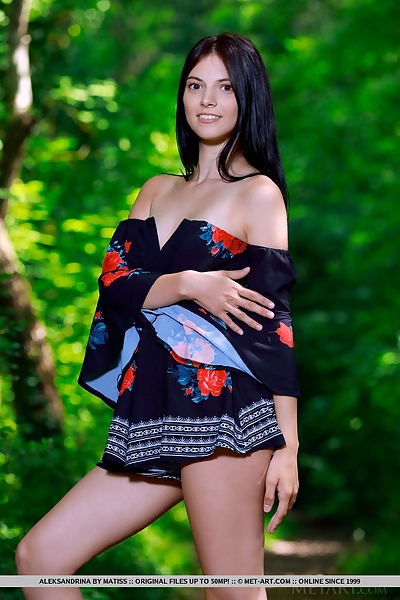 Aleksandrina in Journey by Matiss from Met Art - 2/18