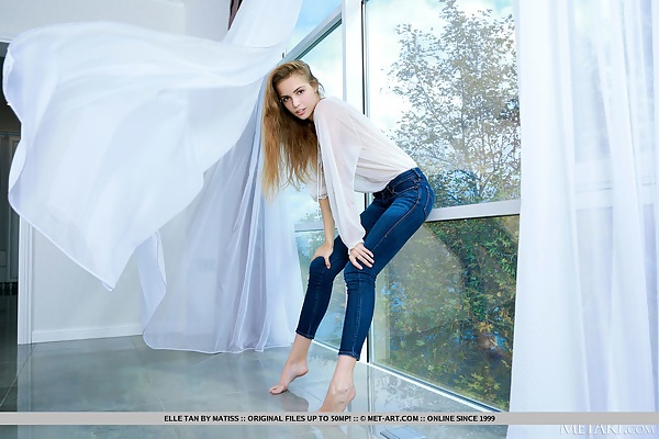 Elle Tan in Sheers by Matiss from Met Art - 2/18