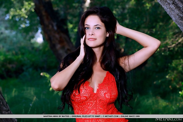 Martina Mink in Assets by Matiss from Met Art - 3/18