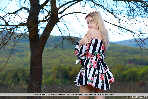 Monika Jelolt in Freeing by Matiss from Met Art - 2/18