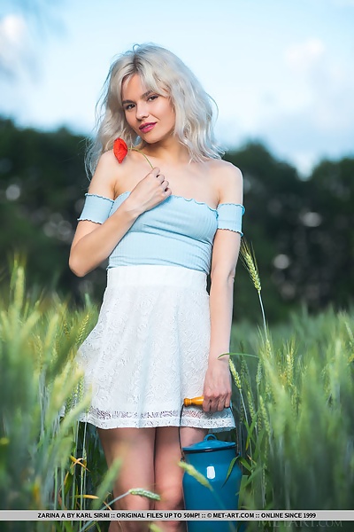 Zarina A in New Look by Karl Sirmi from Met Art - 1/18