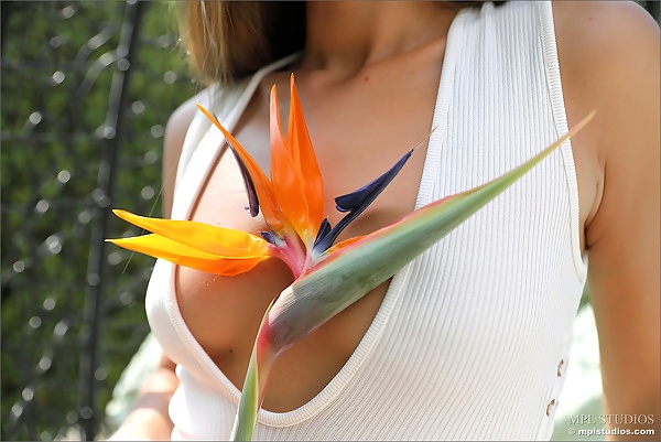 Karissa Diamond in Cyprus Swinger from MPL Studios - 1/12