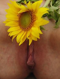 Sunflower Treats featuring Kira T by Flo