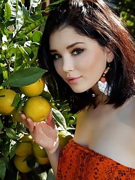 Malena in Lemon Trees by Arkisi
