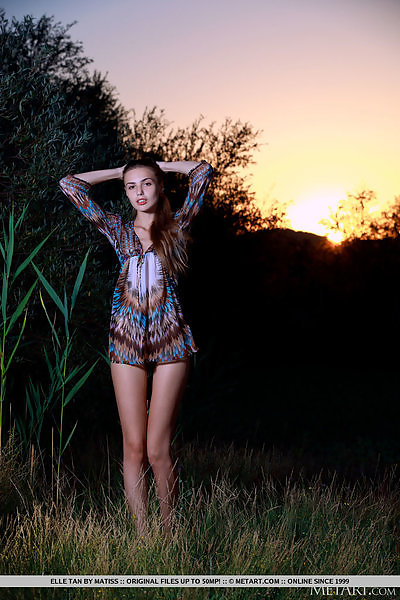 Cute brunette posing nude at dusk in a field