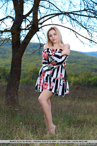 Cute blonde with blue eyes lifts up her dress outdoors
