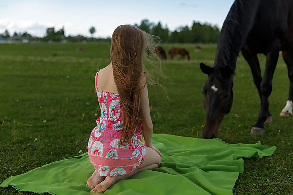 Long-haired cutie lifts up her dress in a field