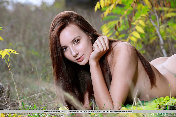 Shaved brunette takes off her lace bodysuit in a forest