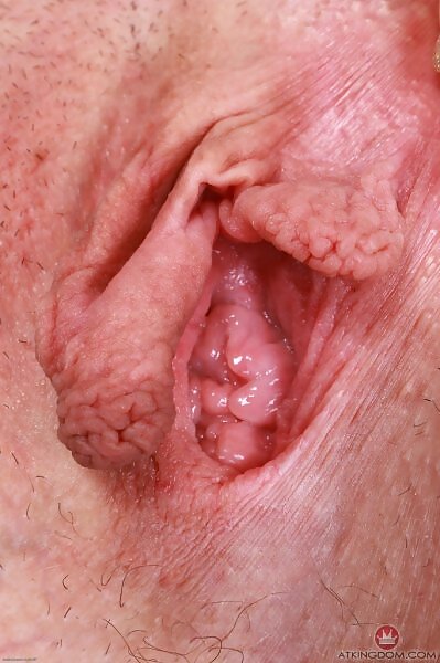 Thalia Rhea lifts up her plaid skirt from ATK Galleria - 13/20