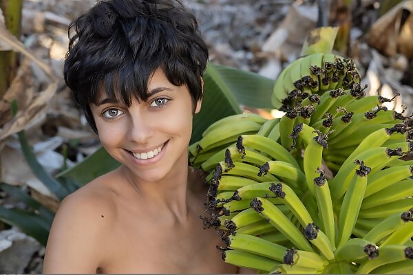 Kensi 1 by Tora Ness - 17/18 Kensi 1 by Tora Ness from Domai - 17/18