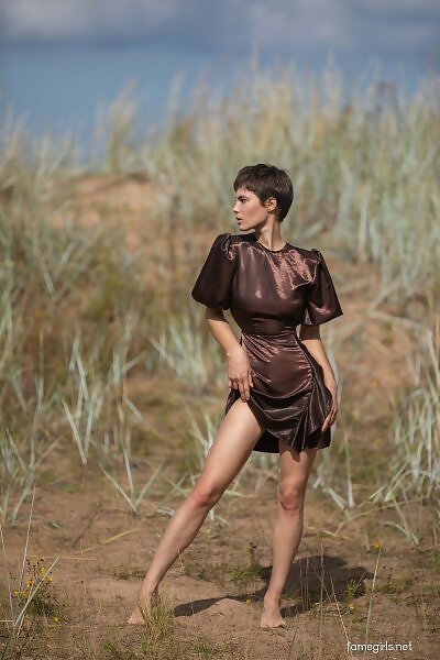 Diana in a brown dress - 1/20 Diana in a brown dress from Fame Girls - 1/20