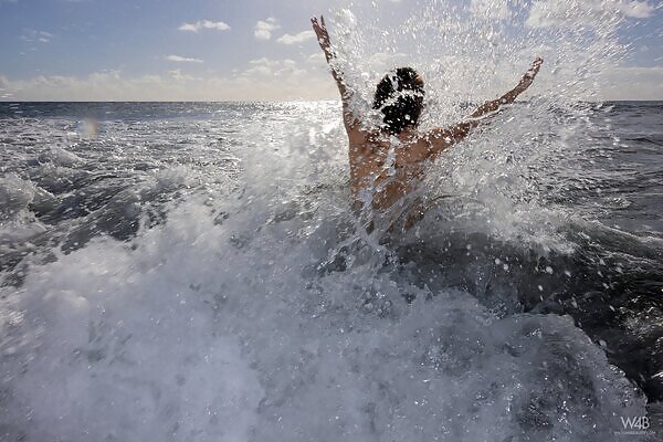 Shaved brunette with saucer nipples nude in the sea - 15/17 Shaved brunette with saucer nipples nude in the sea from Watch 4 Beauty - 15/17