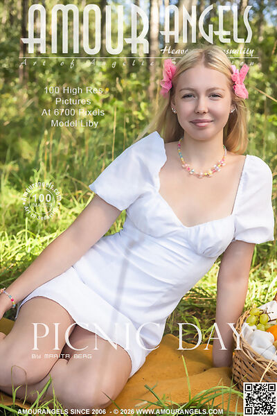 Cover from Picnic Day from Amour Angels