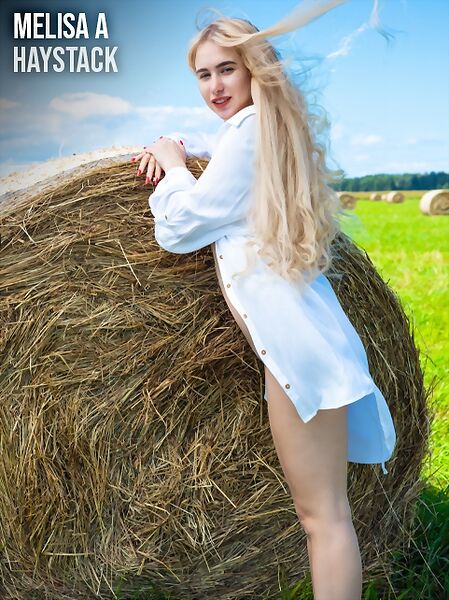 Cover from Haystack by Femjoy