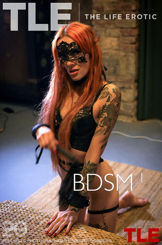 BDSM 1 at The Life Erotic