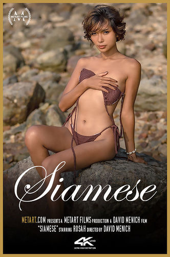 Siamese at MetArt