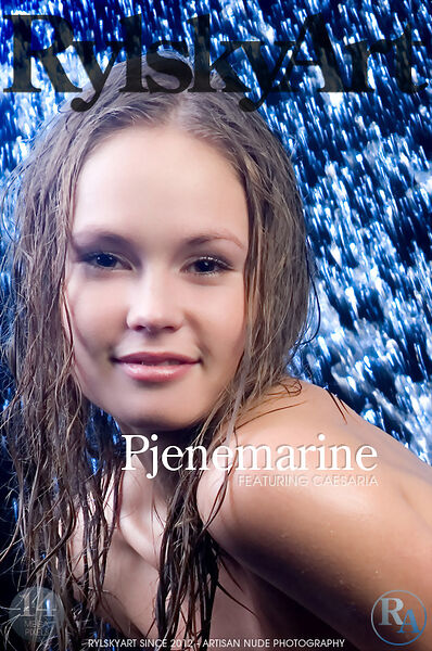 Pjenemarine at Rylsky Art