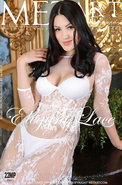 Elegant Lace at Met Art