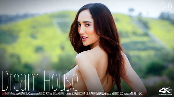 Dream House cover from Sex Art