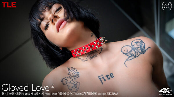 Gloved Love 2 cover from The Life Erotic