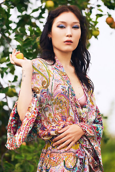 Cover from The Artist from Superbe Models