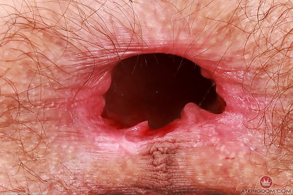 Sia Wood in pulls down her white thong and spreads her holes - 20/20 Sia Wood in pulls down her white thong and spreads her holes from ATK Hairy - 20/20