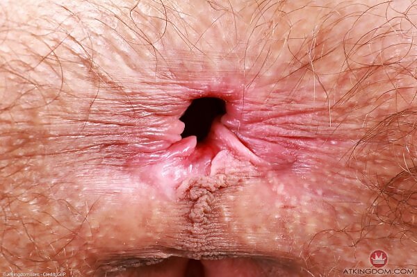 Sia Wood is a hairy young vixen from ATK Hairy - 19/18