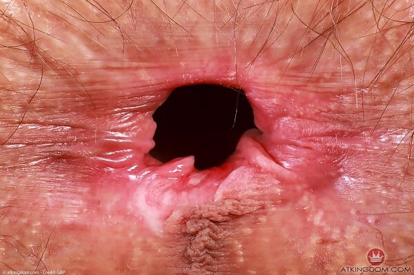 Sia Wood is wearing the shirt that says it all - 20/19 Sia Wood is wearing the shirt that says it all from ATK Hairy - 20/19