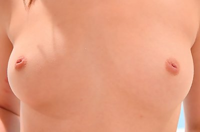 Winter Jade tits closeup