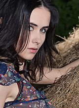 Sexy black-haired babe nude in a barn
