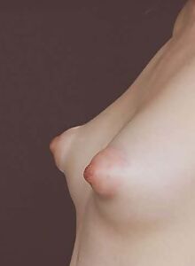 Top 20 Met Art models with huge puffy nipples