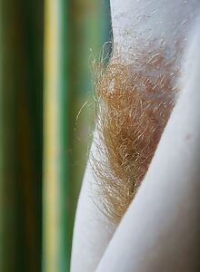 Petite redhead teen with a big hairy bush